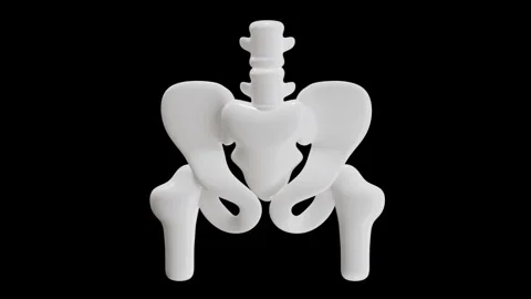 3D Animation of Waist Bone Stock Footage 286933560
