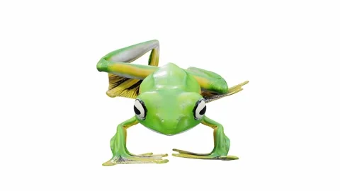 3d animation of Wallace's Flying Frog Video stock 241261541