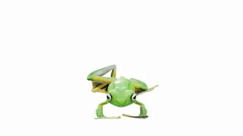 3d animation of Wallace's Flying Frog Stock Footage 241261544