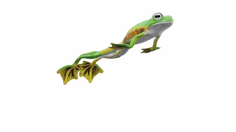 3d animation of Wallace's Flying Frog Stock Footage 241261548