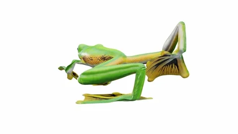 3d animation of Wallace's Flying Frog Video stock 241261566