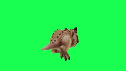 3D animation of a wild dinosaur fighting in green screen chromaki Video stock 245358373