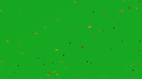 3D animation of winter tree leaves on green screen falling in the wind in ultra Video stock 231732466