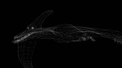 3d animation of wireframe Pterodactyl flying on black screen Stock Footage 197101443