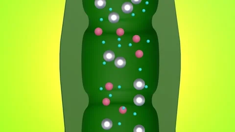 A 3d animation of Xylem's function 스톡 동영상 313468250