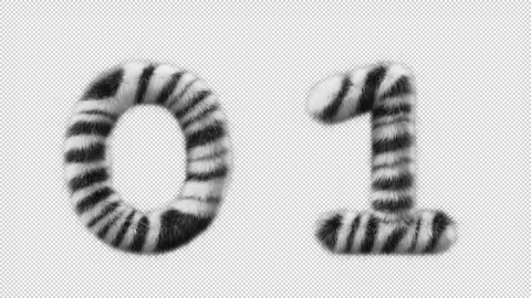 3D animation Zebra woolen numbers 0 and 1 Stock Footage 267280242