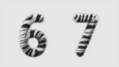 3D animation Zebra woolen numbers 6 and 7 Stock Footage 267281442