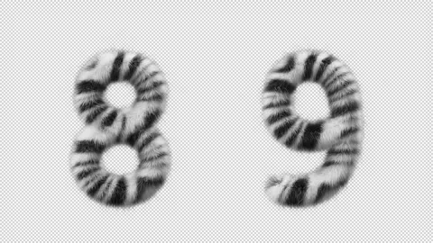 3D animation Zebra woolen numbers 8 and 9 Stock Footage 267281828