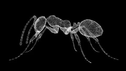 3D ant on black background. Object made of shimmering particles. Wild animals Illustrazione stock