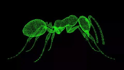 3D ant on black background. Object made of shimmering particles. Wild animals Stock Illustration
