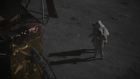 3D Apollo 11 astronauts jump happily and have fun on the moon Stock Footage 289814313