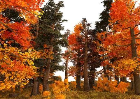 3D Autumn Forest Stock Illustration