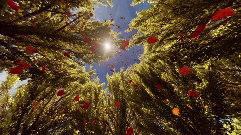 3D autumn forest leaf fall Stock Footage 236718780