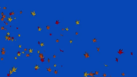 3D autumn leaf flying in the wind blue screen animation,autumn season,colorful  Stock Footage 164983134