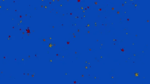 3D autumn leaf flying in the wind blue screen animation,autumn season,colorful  Stock Footage 165305939