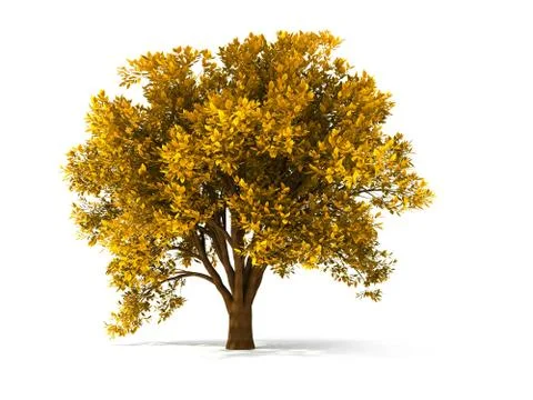 3d autumnal tree Stock Illustration