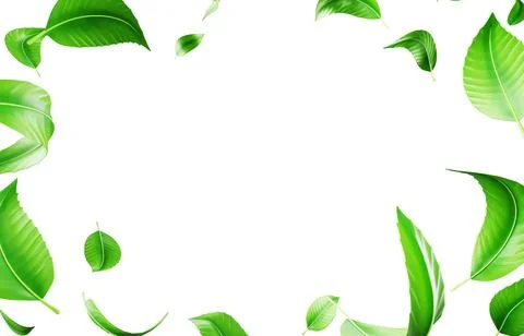 3d background with green leaf falling and flying in air render. Nature eco Stock Illustration