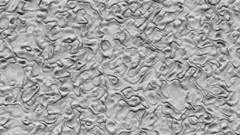 3d Background Noise Stock Footage 259867821