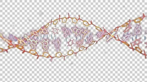 3D Background With Rotating Dna String 4K. ultra HD. Alpha Channel. Stock Footage 47863077