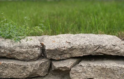 3D background with a stone podium display. A natural rock pedestal on a natural Stock Photos
