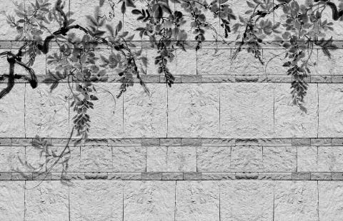 3d background texture, flowers on limestone. Black and white Stock Illustration
