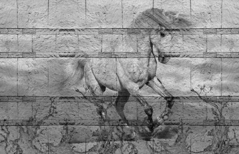 3d background texture, horse running on limestone Stock Illustration