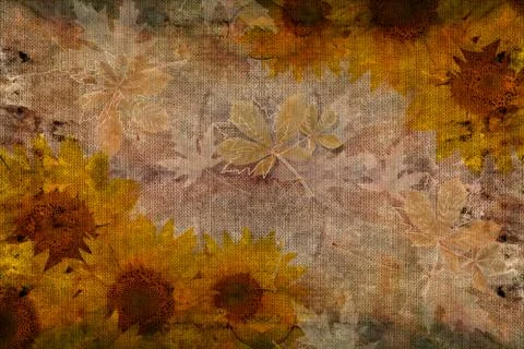 3d background texture, sunflower on fabric canvas texture Stock Illustration