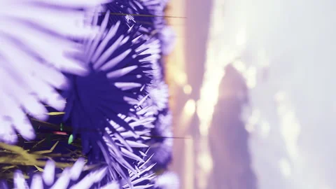 3D Background Vertical Video, Fantasy world, very peri flower plantation, out Video stock 171619370