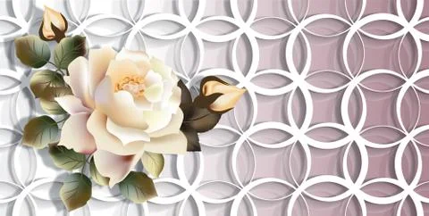 3d background, white rose and rings Stock Illustration