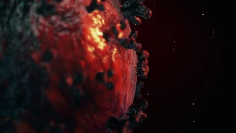 3D Bacteria Animation Stock-Footage 237984182