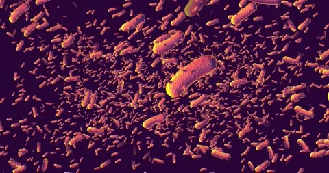 3D Bacteria Background Stock-Footage 140181772