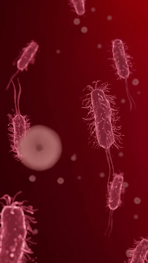 3D Bacteria Floating in Red Fluid Background | Portrait Animation Stock Footage 337860227