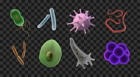 3d bacteria. Virus, bacterium or parasite cell, pathogen skin microorganism or Stock Illustration