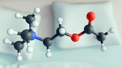 3D ball-and-stick model of the Acetylcholine molecule Stock Illustration