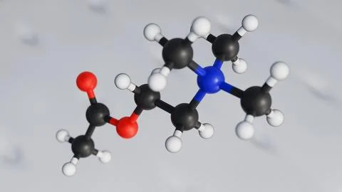 3D ball-and-stick model of the Acetylcholine molecule Stock Illustration