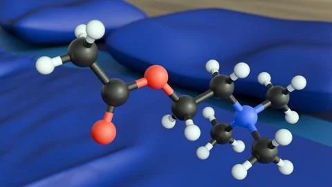 3D ball-and-stick model of the Acetylcholine molecule Stock Illustration