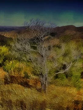 3d bare tree in nature Stock Illustration