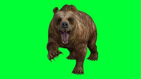 3d bear illustration with green screen background Stock Illustration
