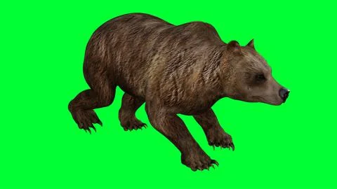 3d bear illustration with green screen background Stock Illustration