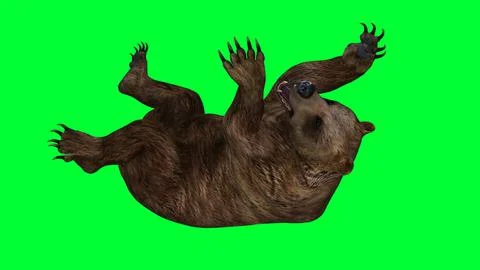 3d bear illustration with green screen background Stock Illustration