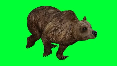3d bear illustration with green screen background Stock Illustration