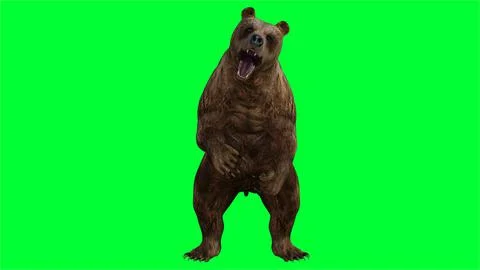 3d bear illustration with green screen background Stock Illustration