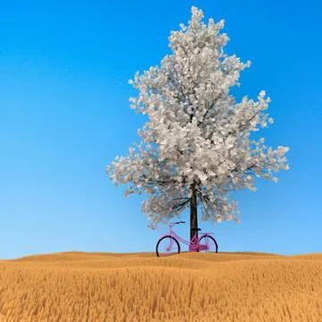 3d bicycle. Stock Illustration