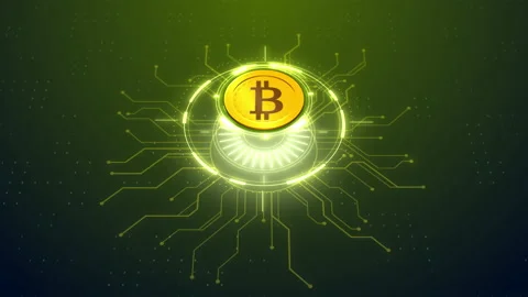 3d Bitcoin Electronic Cryptocurrency Blockchain. digital currency HUD design Stock Footage 153172128