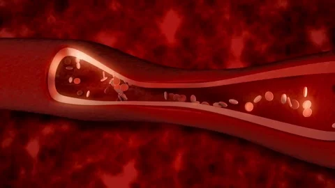 3D Blood Cells Flowing Through Human Bloodstream Medical Animation Seamless Loop Stock Footage 342727244
