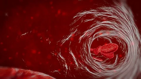 3D blood cells traveling through a vein. Red blood cells flowing in artery Stock Footage