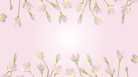 3D Blooming Cherry blossoms animation frame - line Vídeo Stock 70911217