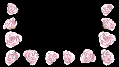 3D Blooming Pink Roses frame, Alpha channel Stock Footage 75463188