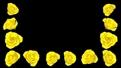 3D Blooming Yellow Roses frame, Alpha channel Stock Footage 75463349