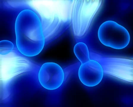 3D Blue Cellular Reproduction Loop Stock Footage 8931682